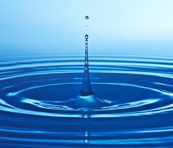 РИОСВ-Варна се включи в международния проект „Да спасим водата като природен ресурс“